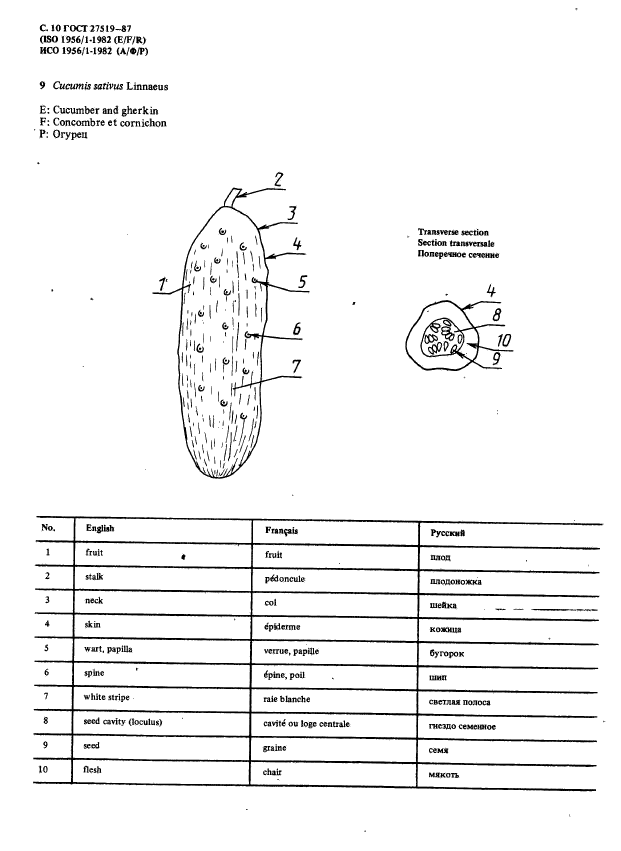  27519-87