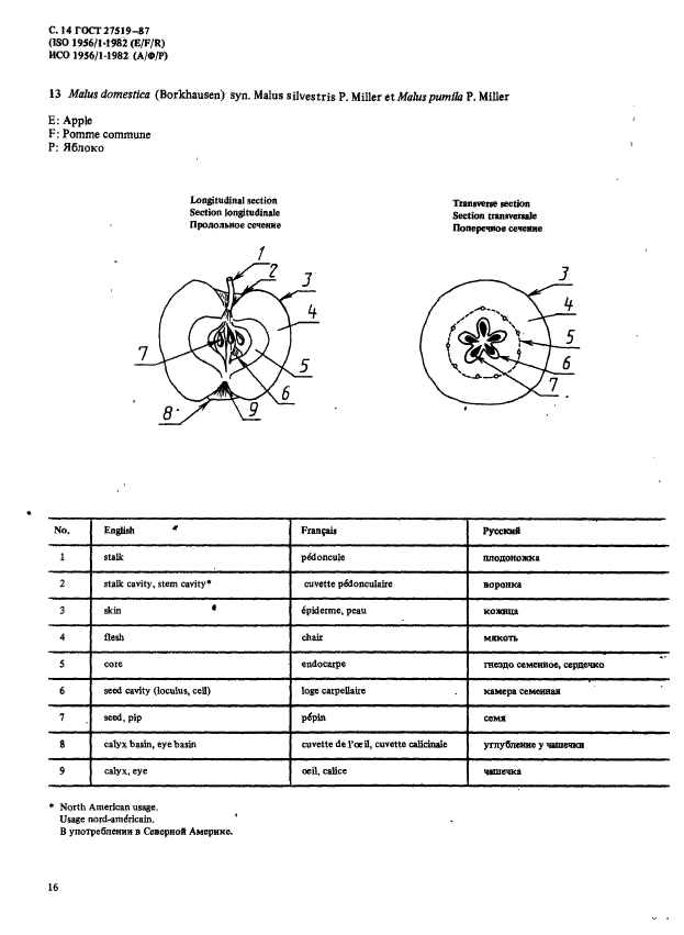  27519-87