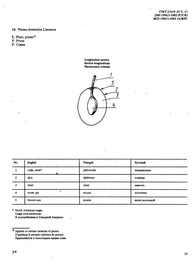  27519-87