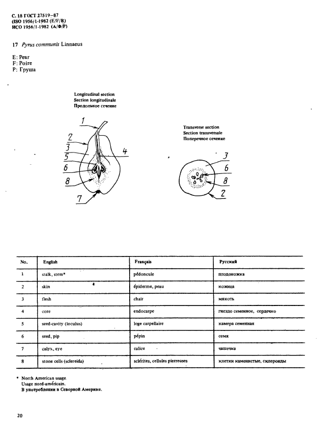  27519-87