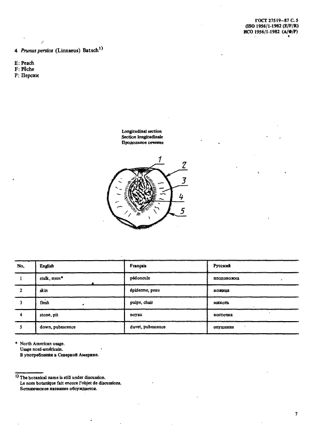  27519-87