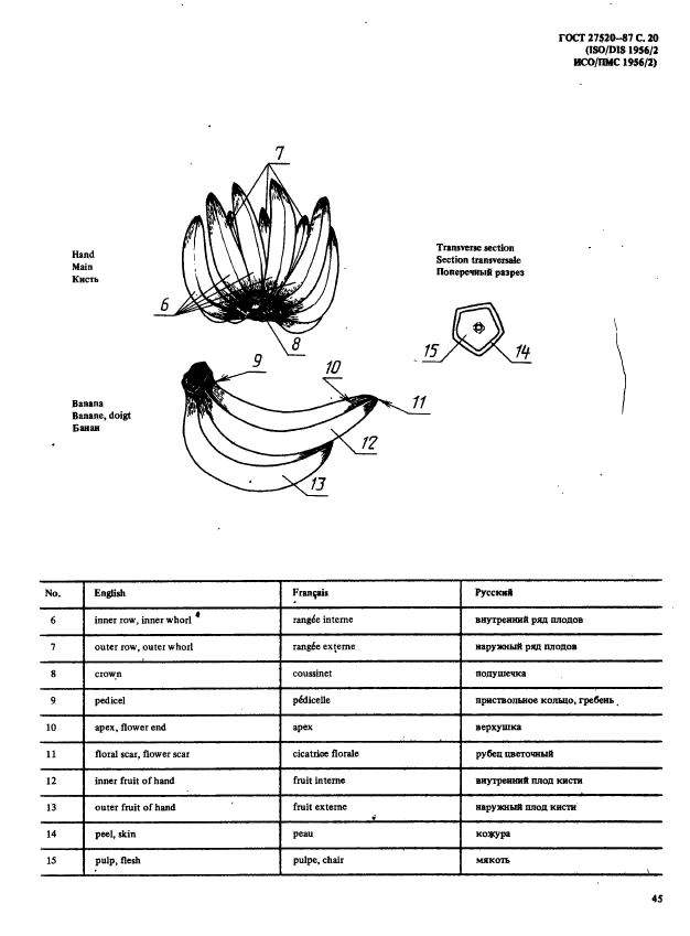  27520-87