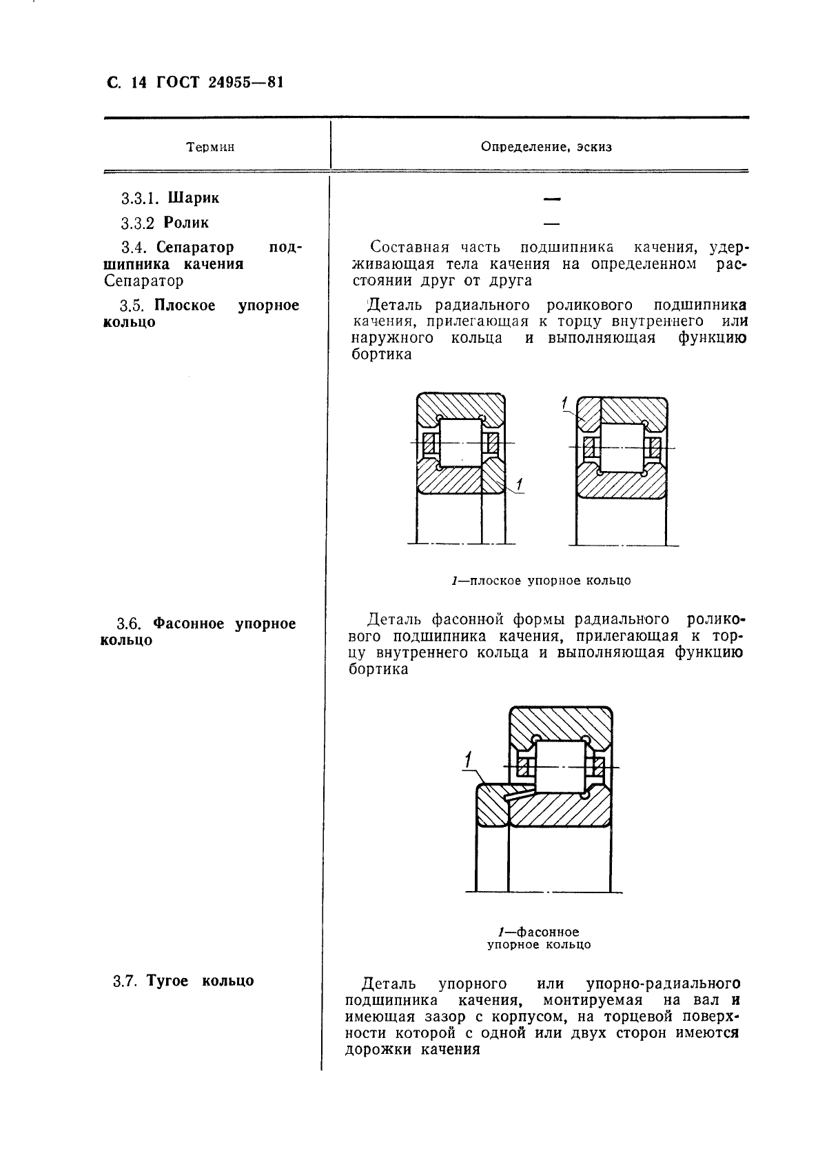  24955-81