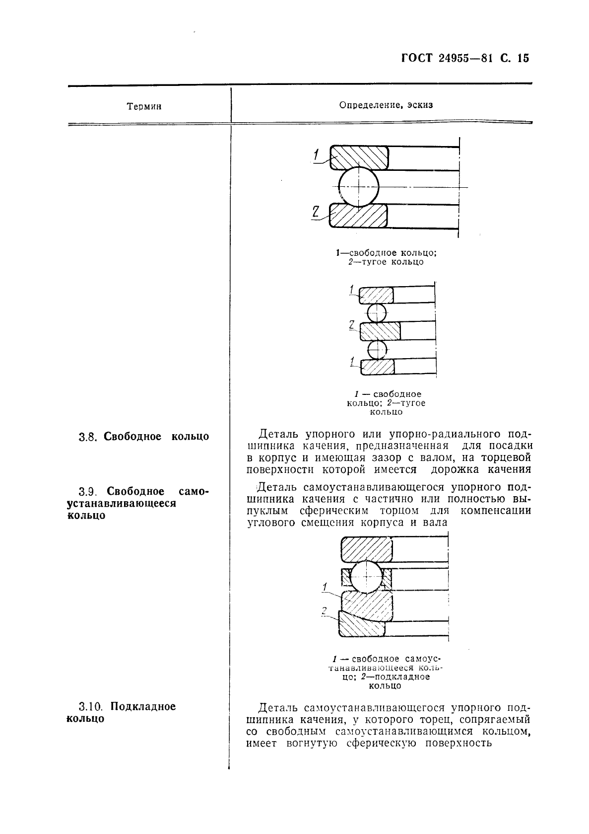  24955-81