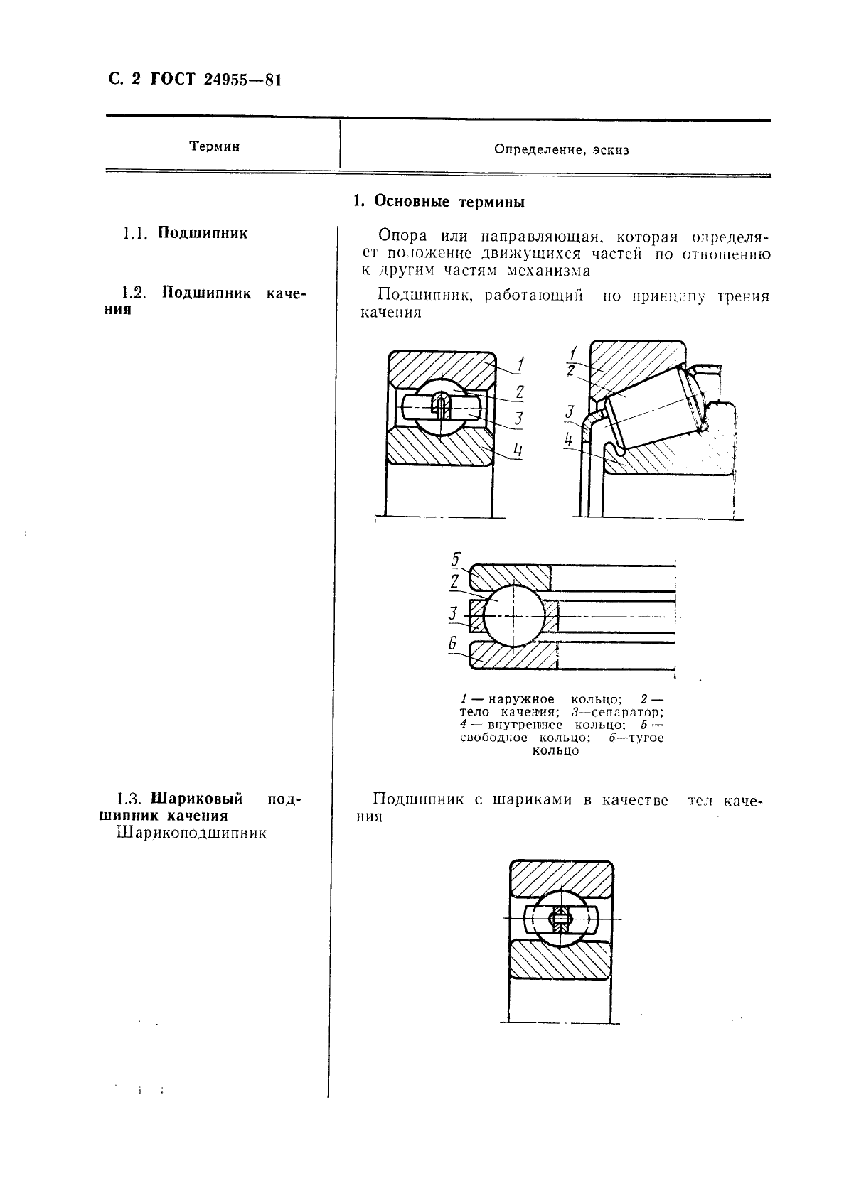  24955-81