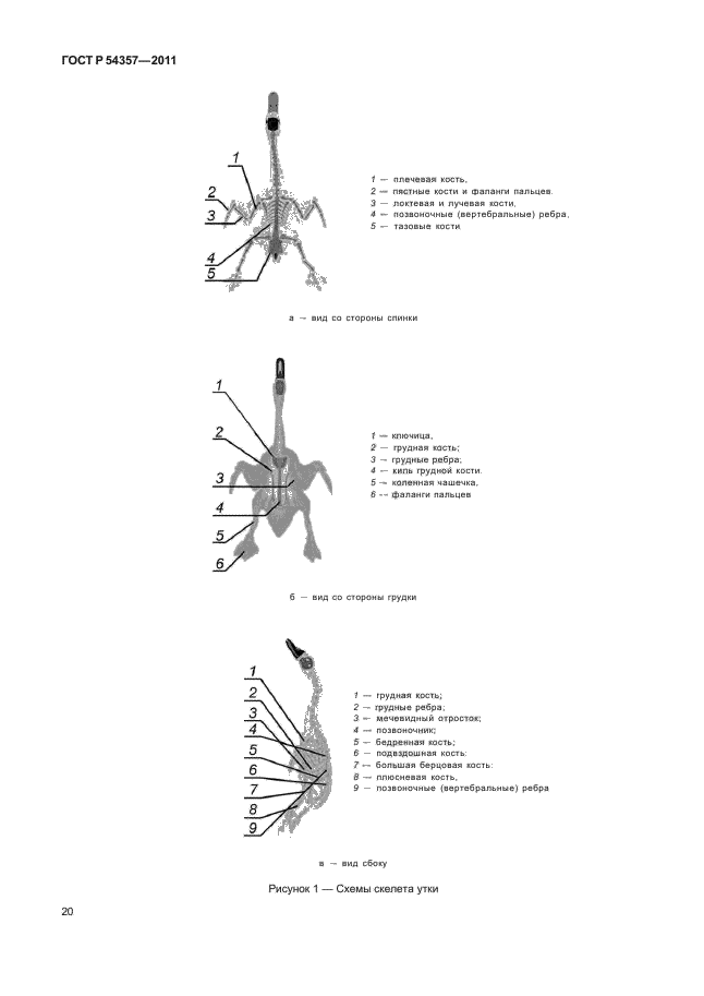   54357-2011