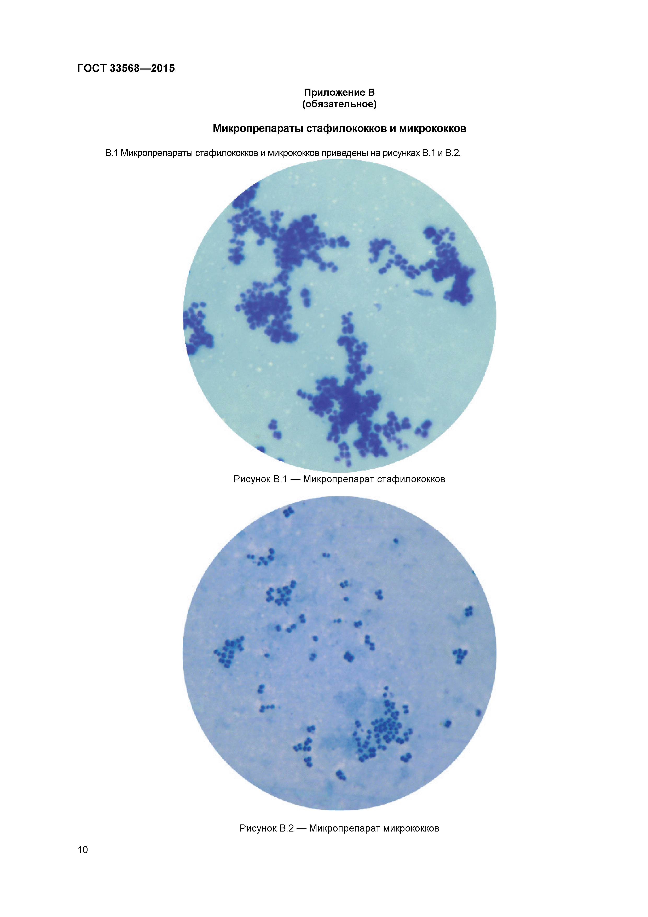 ГОСТ 33568-2015