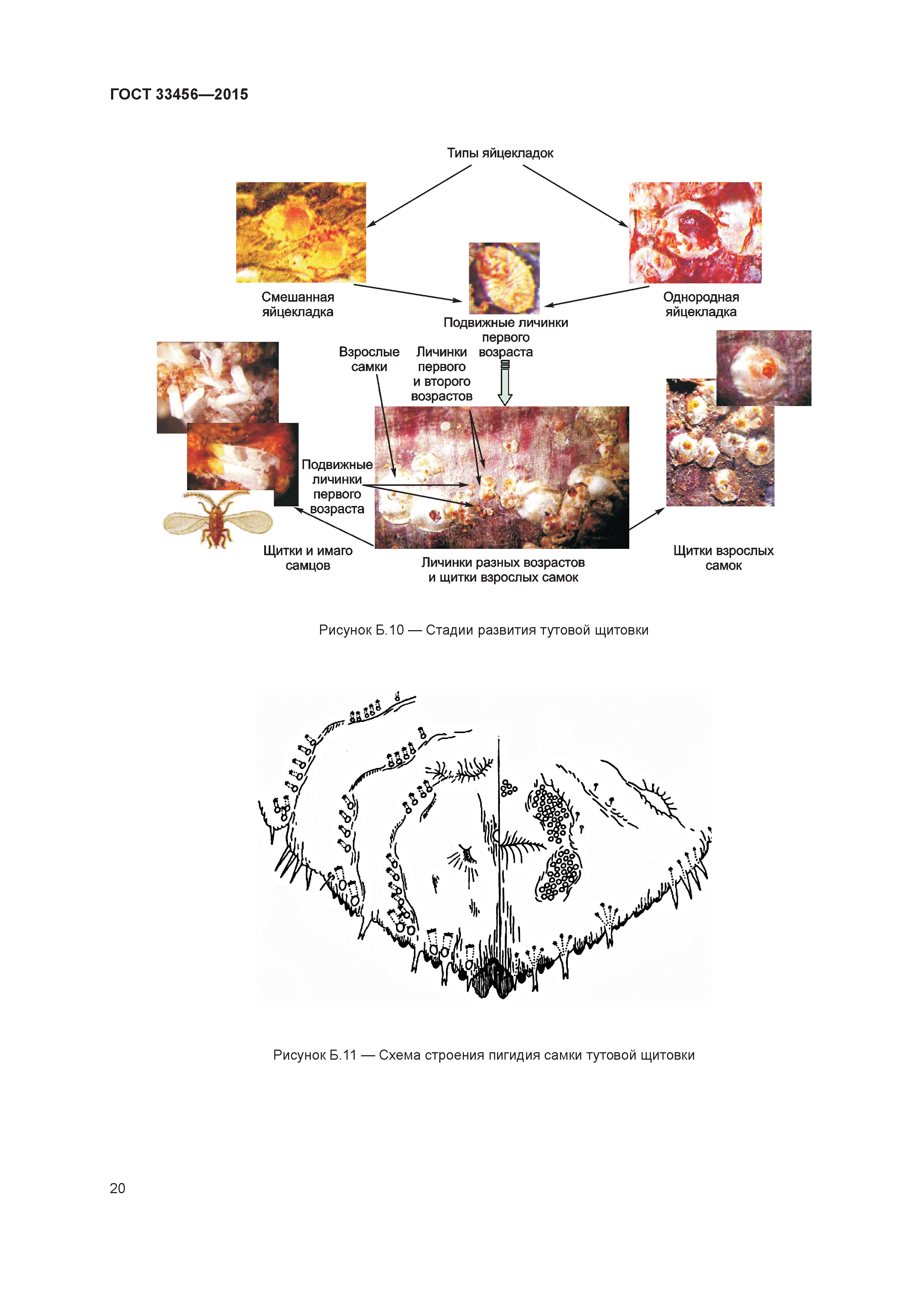 ГОСТ 33456-2015