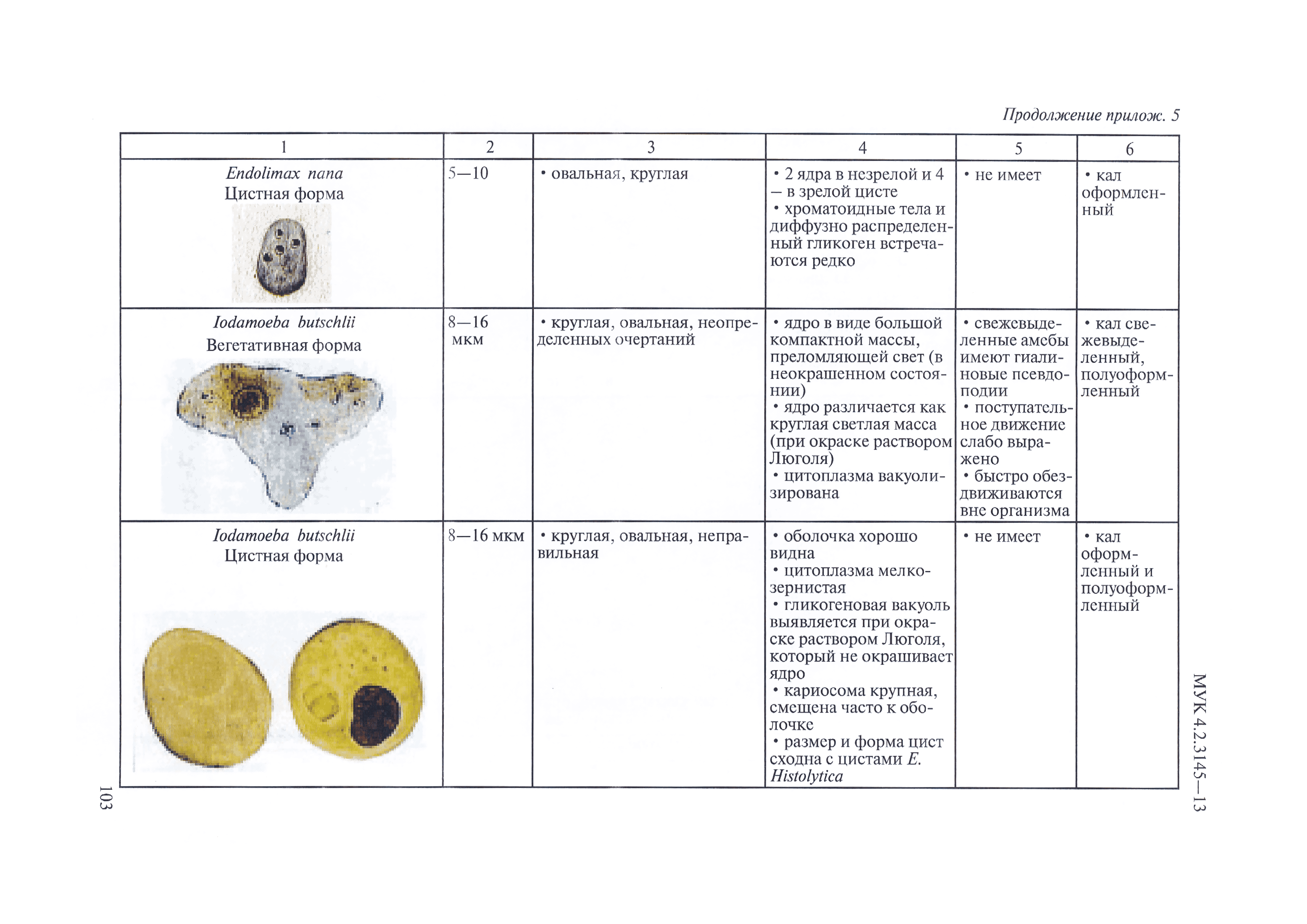 МУК 4.2.3145-13