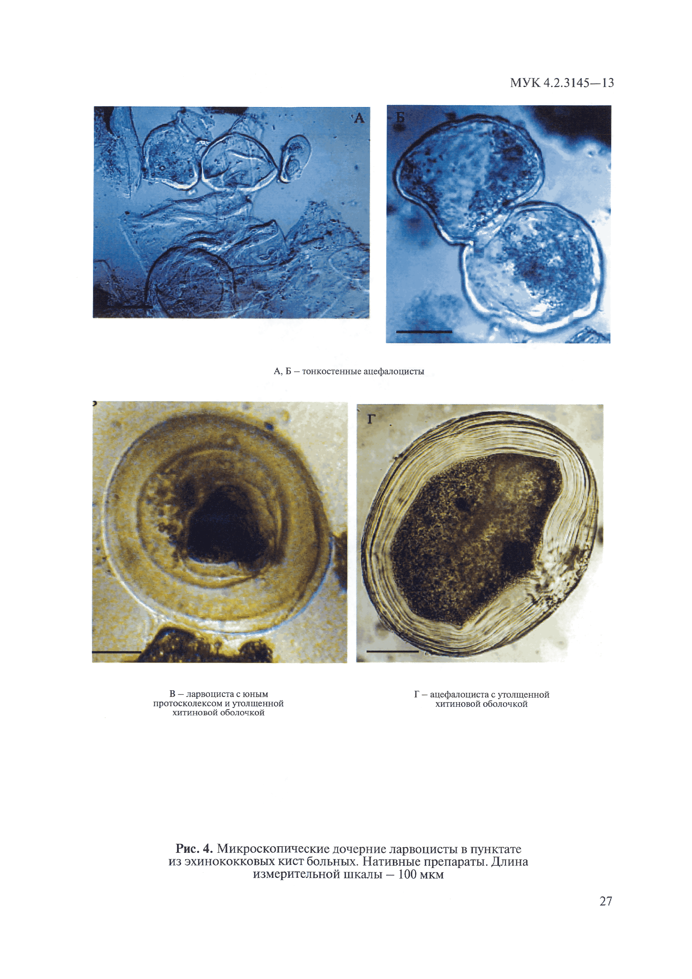 МУК 4.2.3145-13