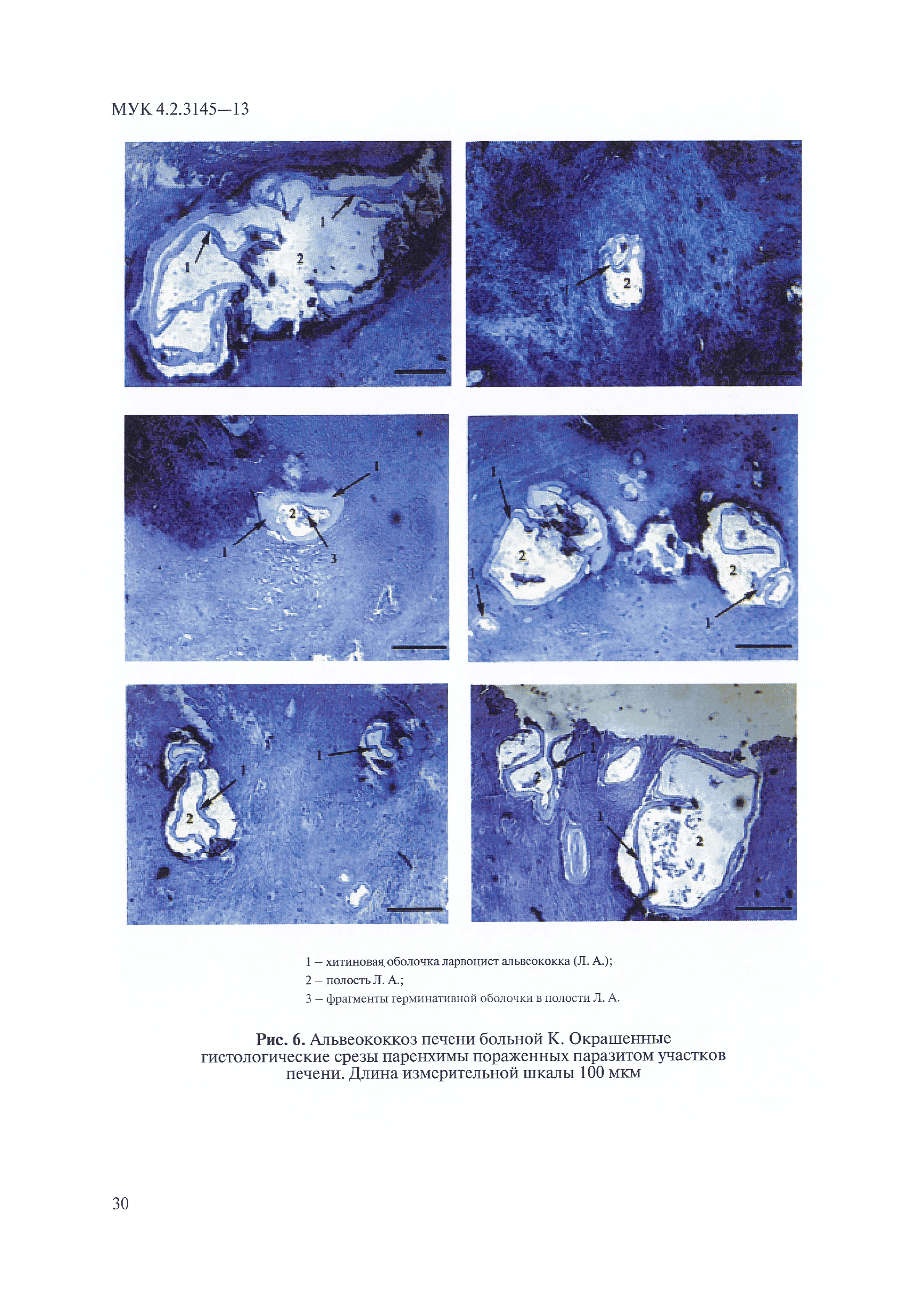 МУК 4.2.3145-13