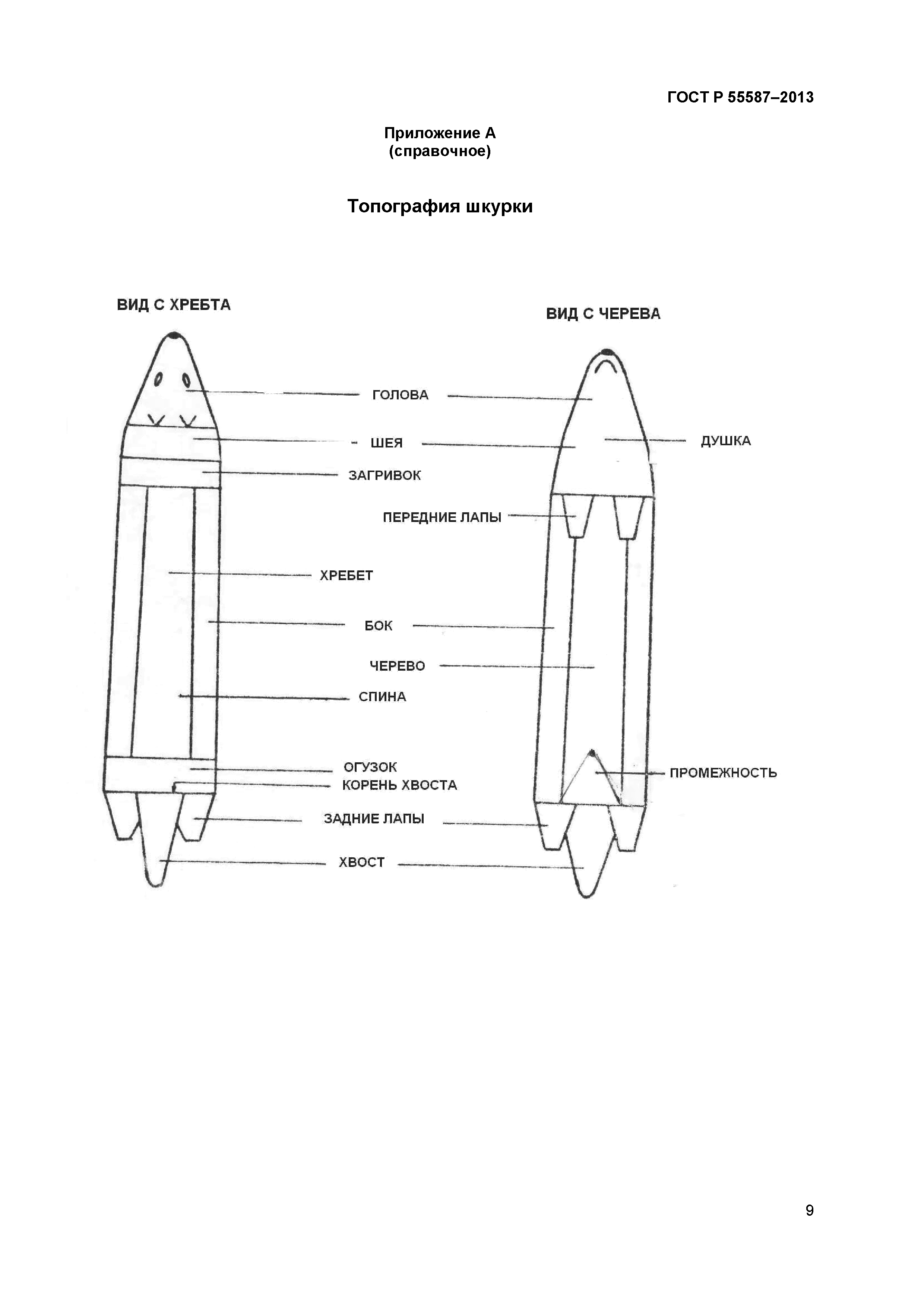 ГОСТ Р 55587-2013