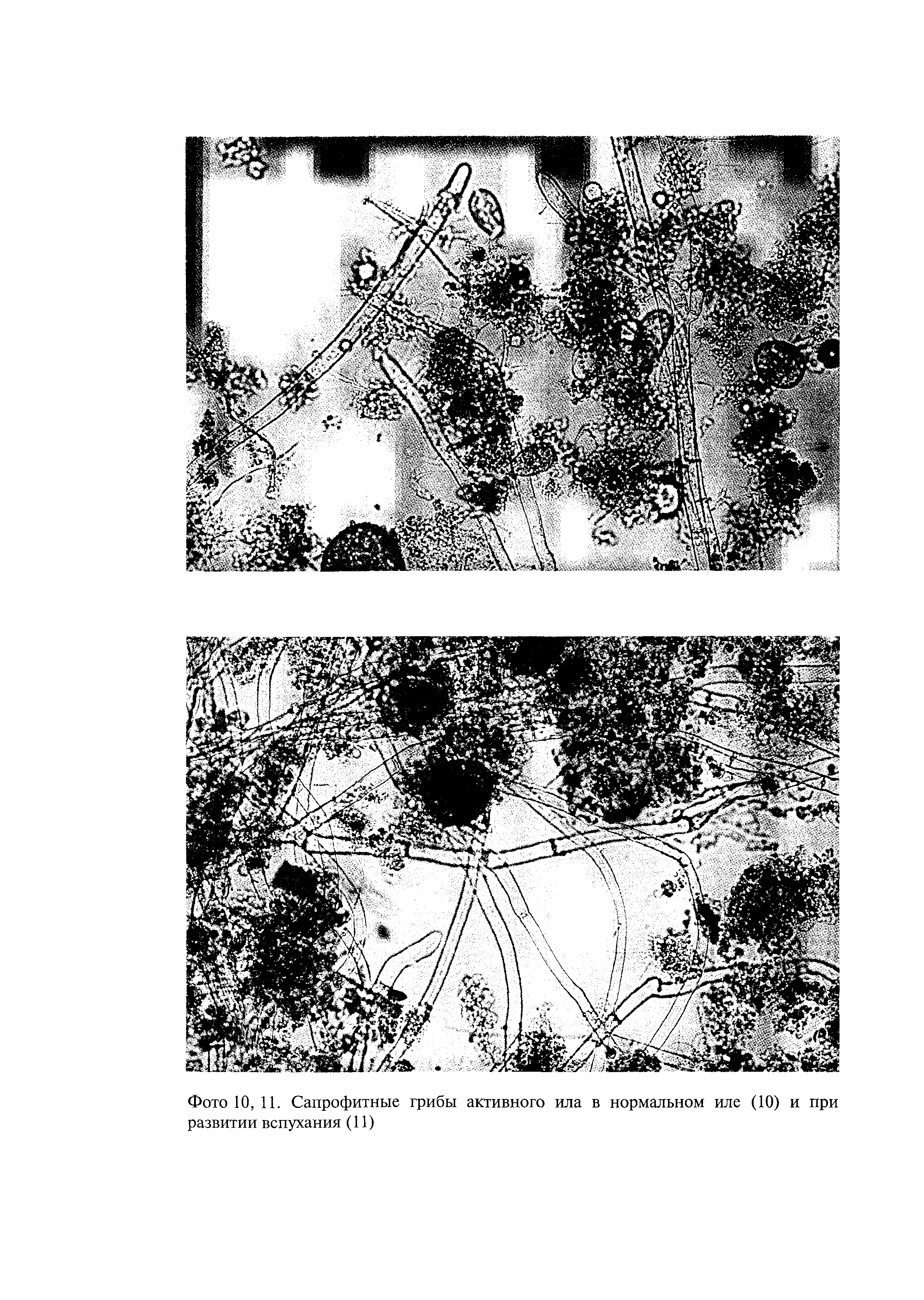 ПНД Ф СБ 14.1.92-96