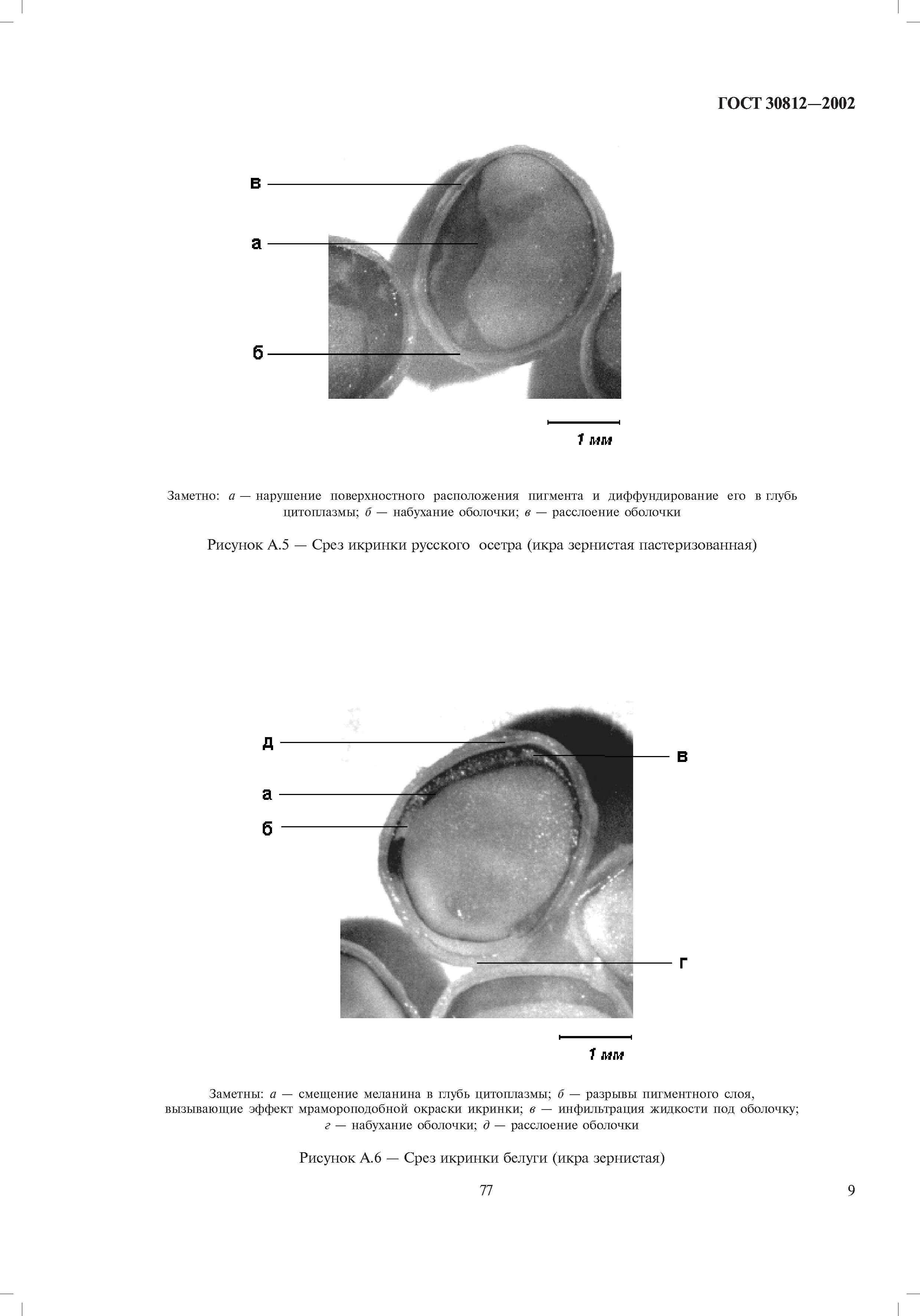 ГОСТ 30812-2002