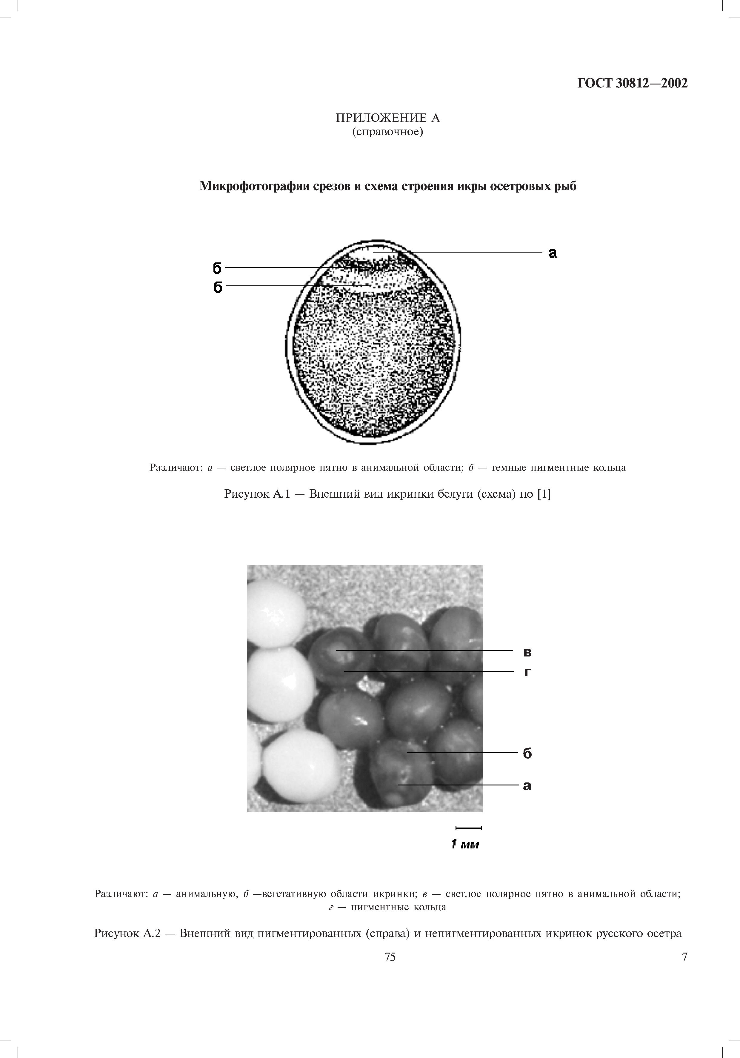 ГОСТ 30812-2002