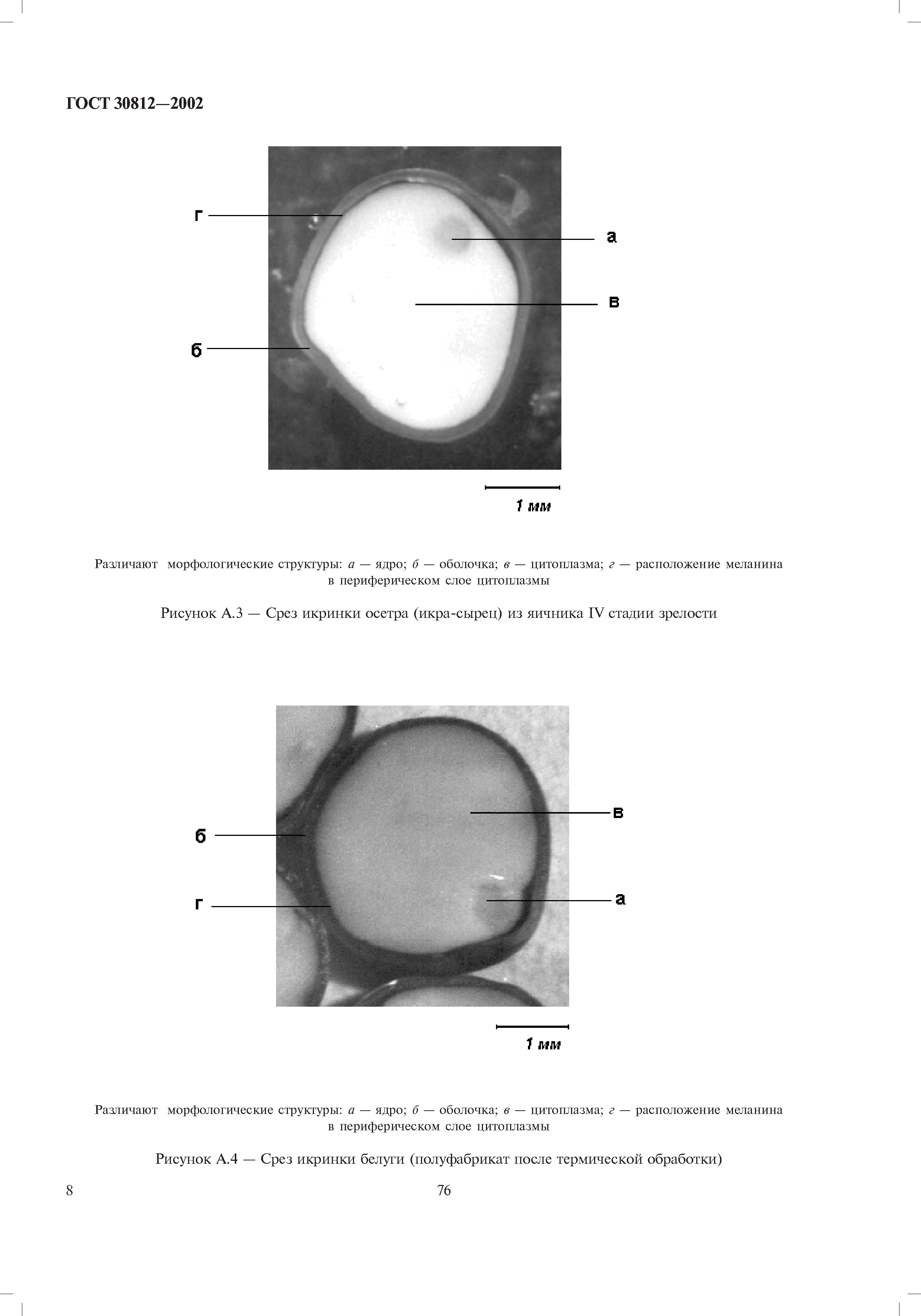 ГОСТ 30812-2002