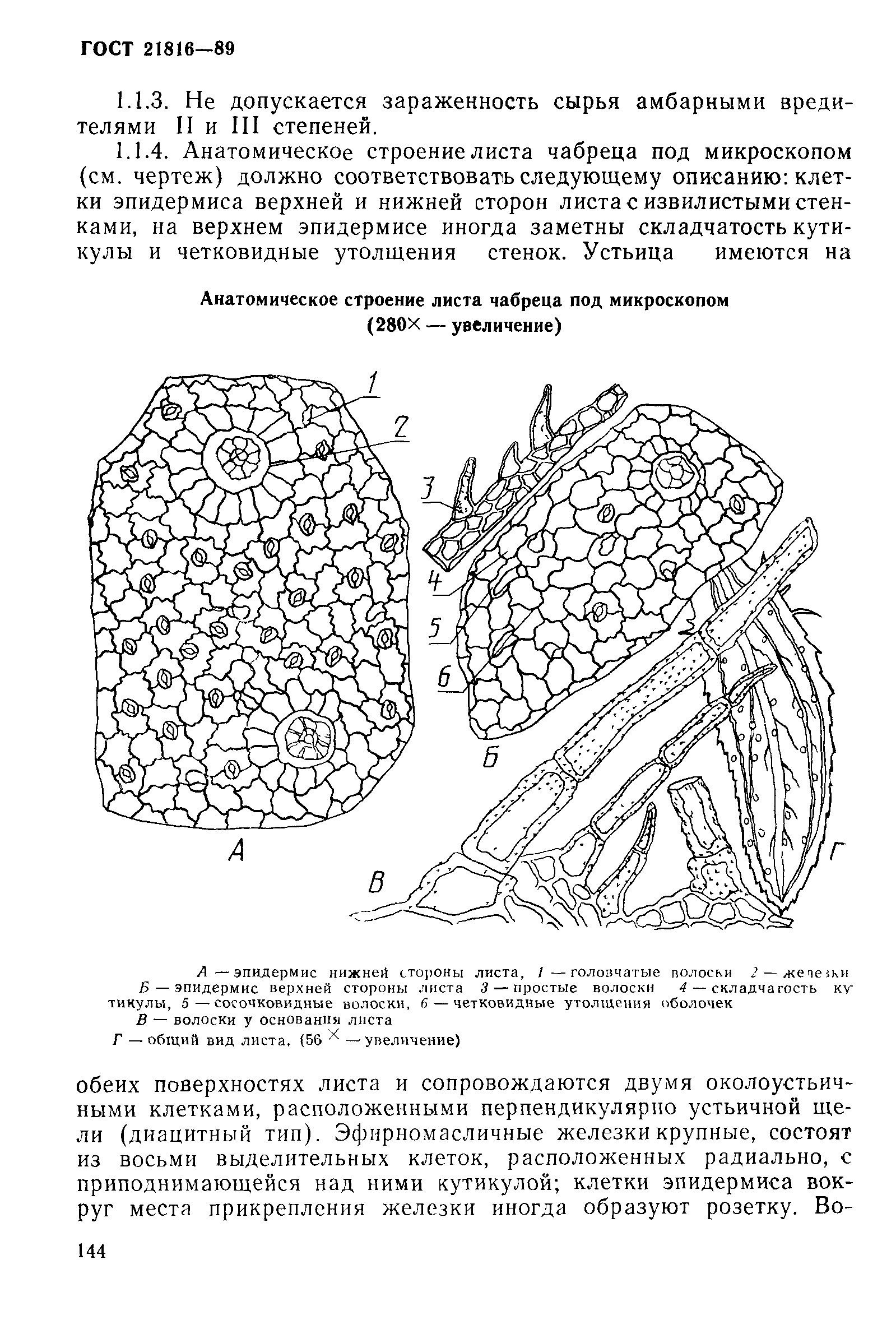 ГОСТ 21816-89